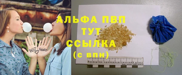 хмурый Белокуриха