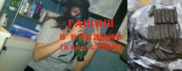 хмурый Белокуриха