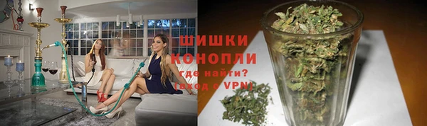 хмурый Белокуриха