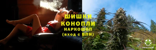 хмурый Белокуриха