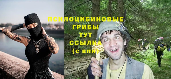 СК Семикаракорск