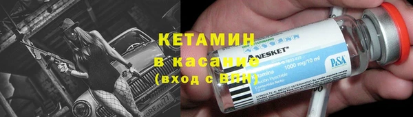 хмурый Белокуриха