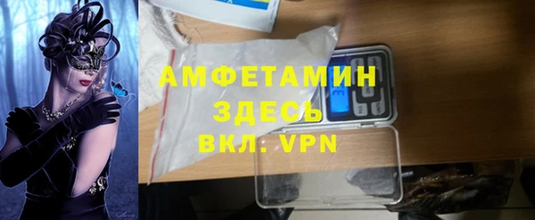 хмурый Белокуриха