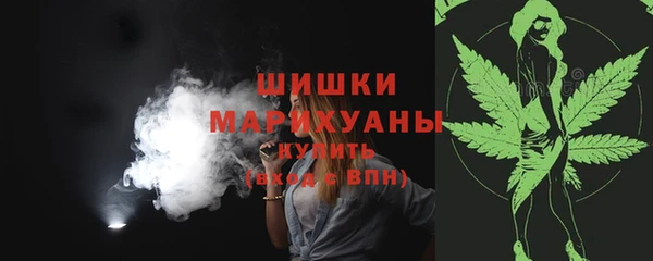 хмурый Белокуриха