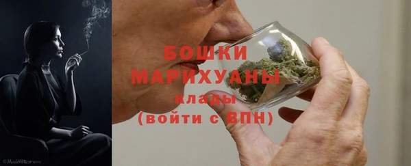 хмурый Белокуриха