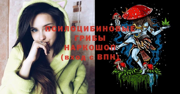 ГАЛЛЮЦИНОГЕННЫЕ ГРИБЫ Беломорск
