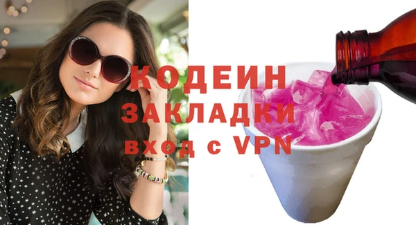 хмурый Белокуриха